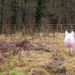 babeblue découvre son nouvel environnement
