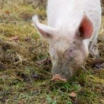 babeblue découvre son nouvel environnement