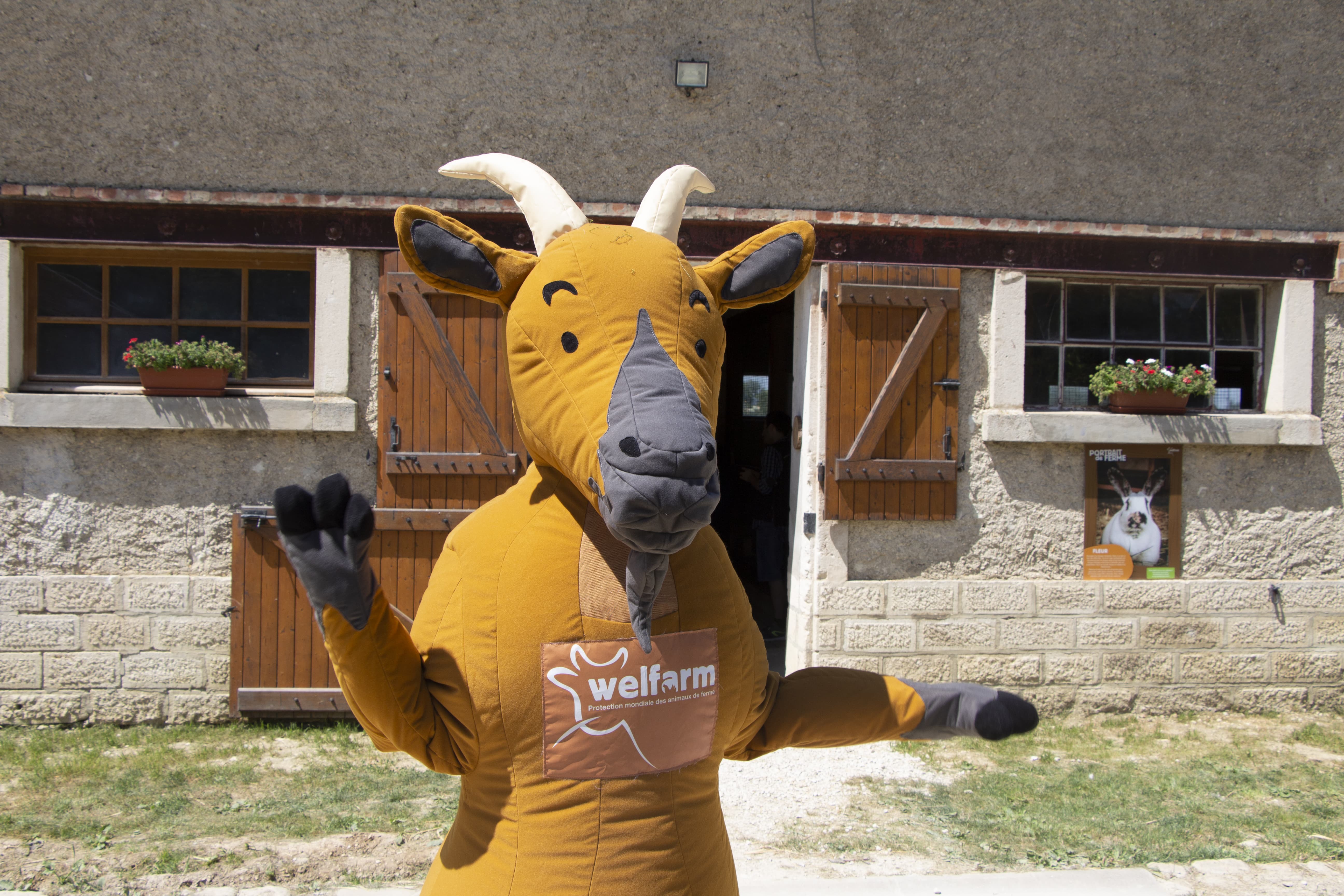 La Hardonnerie au Salon destination Marne
