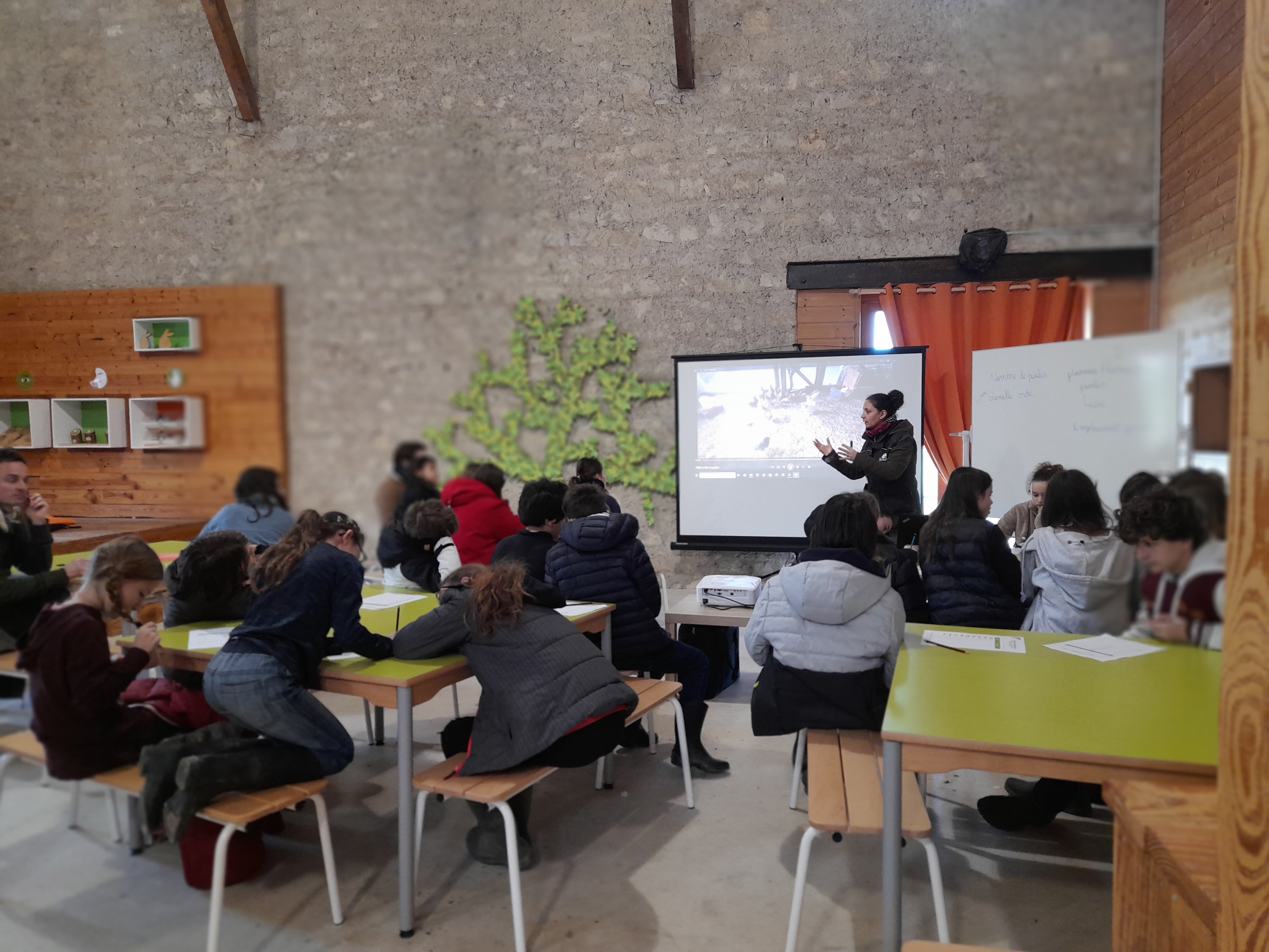 Les élèves de l'école de Meudon de dos, face à une présentation à La Hardonnerie pour attribuer leur don